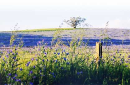 Away from the clutter